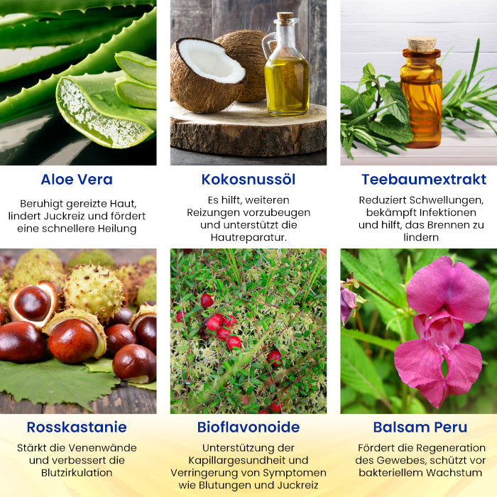 🌟 Offizieller Shop | 🛡️ Sofortige Linderung bei Stechen & Brennen! RZXEA™ Kräuter Hämorrhoiden Behandlung Anal Spray