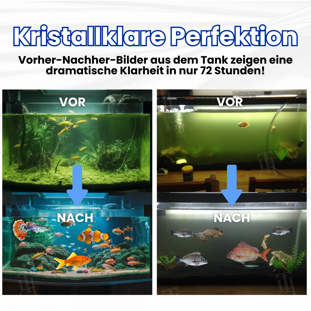 AEXZR® Max-Power Aquarienreinigungstablette
