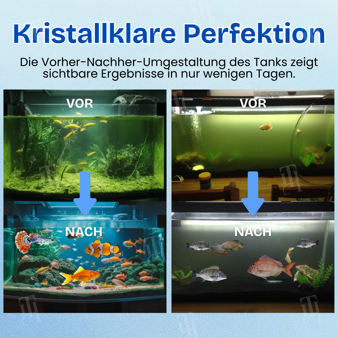 🏆Offizieller Store | ✨ Von trüb zu kristallklar über Nacht! | AEXZR® Aquarien Aqua-Guardian Mischung