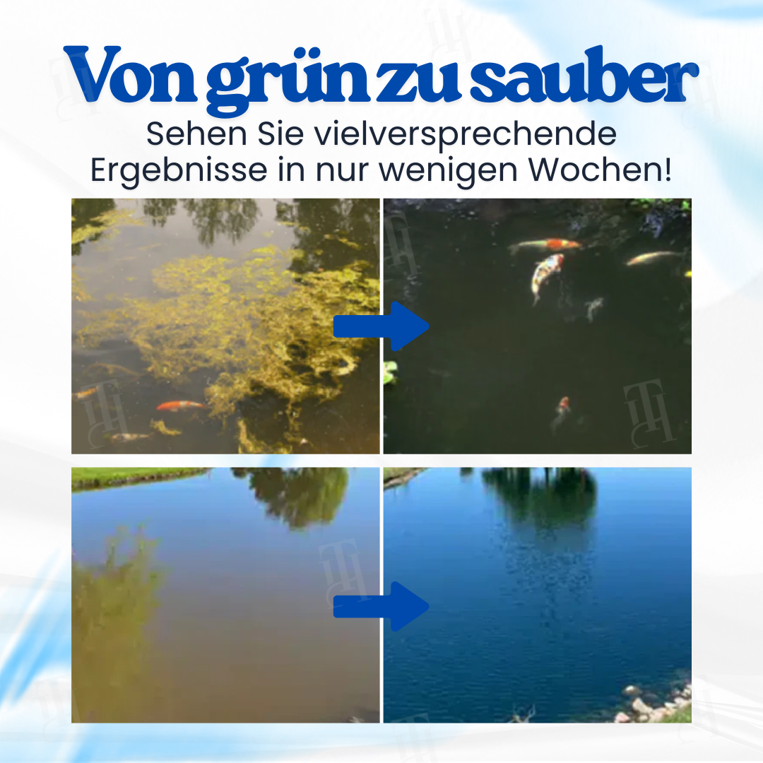 ⏱️ Kristallklar in 24 Stunden! | 🌿 100% Sicher für Fische & Pflanzen | AEXZR® Aqua-Guardian Pro Formel
