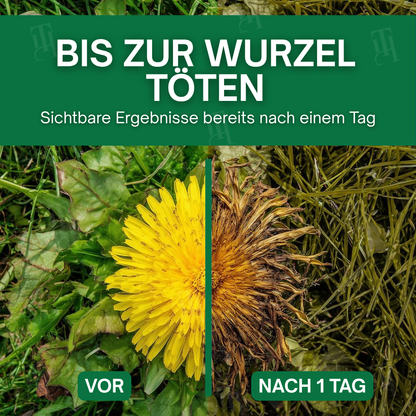 🏆 Bestseller | 🌱 Tötet Unkraut bis zur Wurzel | AEXZR® 3 in 1 Herbizid Maximaler Leistung