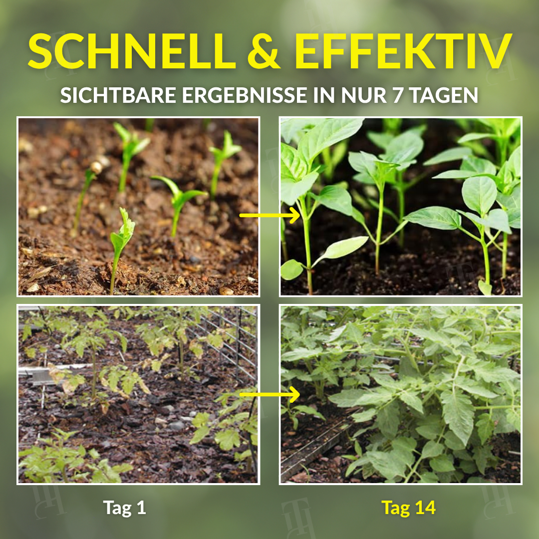 AEXZR® 2 in 1 Vita-Enzym Lösung