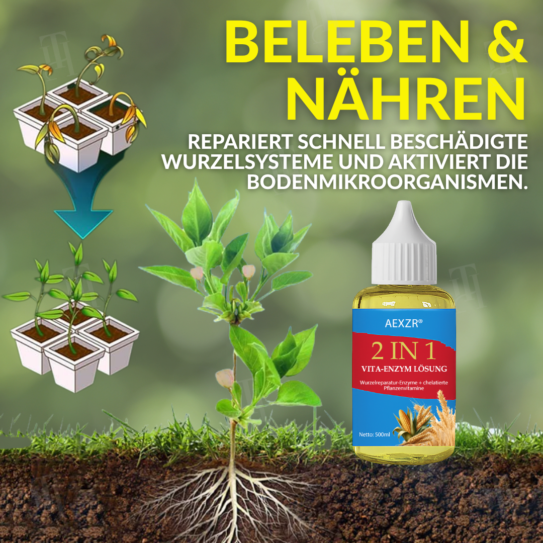 AEXZR® 2 in 1 Vita-Enzym Lösung