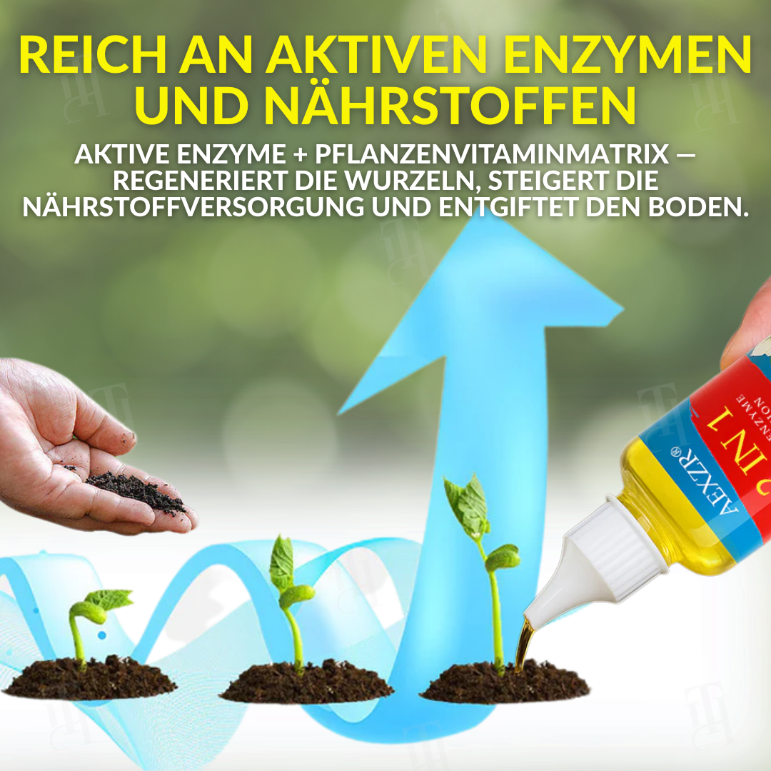 AEXZR® 2 in 1 Vita-Enzym Lösung
