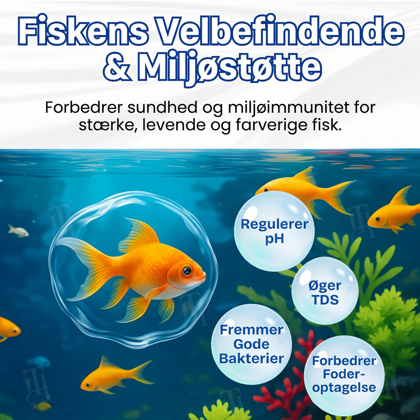 ✨ Fra grønt til rent natten over! | ⏱️ Krystalklart på 24 timer! | AEXZR® Aqua-Guardian Pro Formel