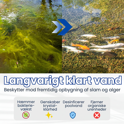 ✨ Fra grønt til rent natten over! | ⏱️ Krystalklart på 24 timer! | AEXZR® Aqua-Guardian Pro Formel