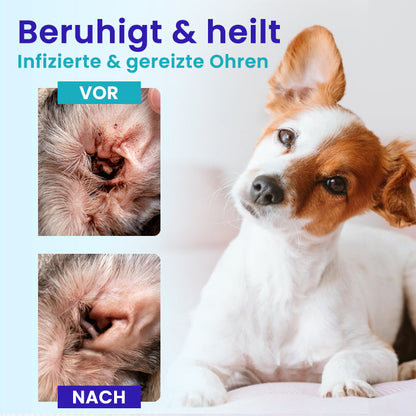 🌟 Offizieller Shop | ✨ Schluss mit Geruch & Juckreiz – für perfekt saubere Ohren!RZXEA™ Pet EarPro Tropfen FM+